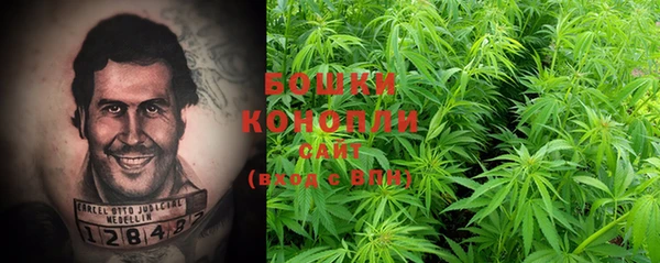 MESCALINE Новозыбков